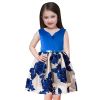Lovely Blue Florida Net Kids Party Dress