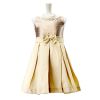 Pinkcow Goldeny Gold Kids Party Dress